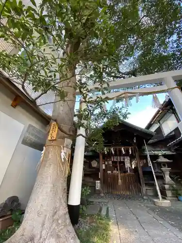 高松神明神社の自然