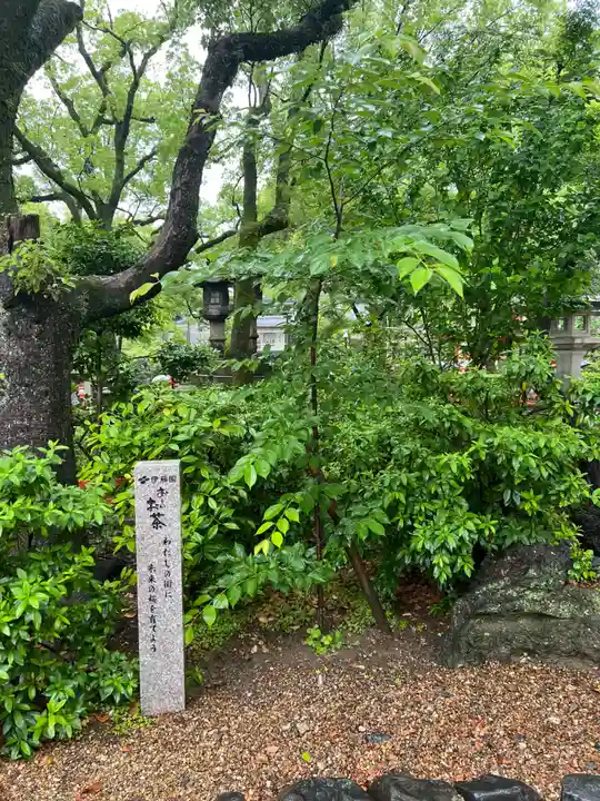 八坂神社(祇園さん)の自然