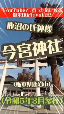 鹿沼今宮神社(栃木県)
