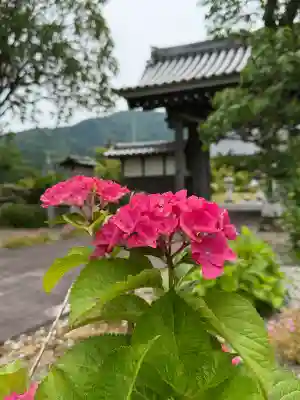 全長寺(滋賀県)