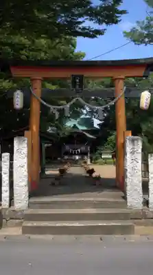 水海道鎮守 八幡神社(茨城県)
