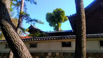 八劔社(桂八劔社)の本殿・本堂