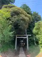 大宮大神(千葉県)