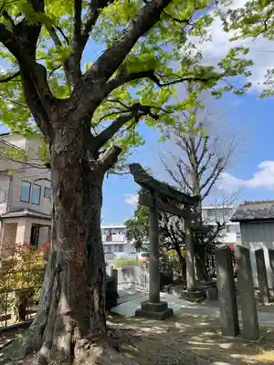 和樂備神社(埼玉県)