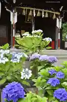 磐井神社の自然