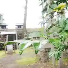 若宮神明社の末社