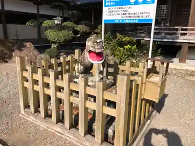 大麻比古神社の狛犬