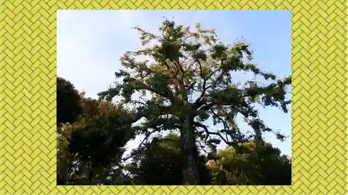 七社神社(東京都)