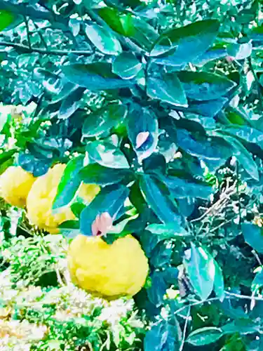 金嶽神社の自然