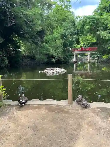 武蔵一宮氷川神社(埼玉県)