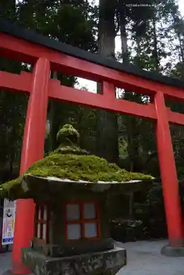 箱根神社(神奈川県)