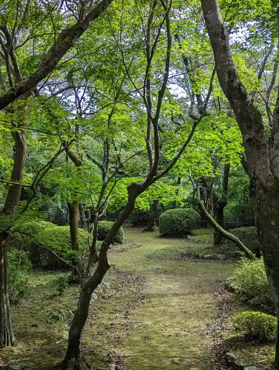 勝持寺(花の寺)(京都府)