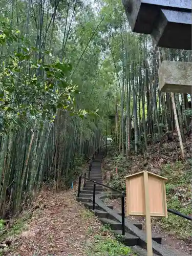 神龍八大龍王神社(熊本県)