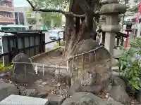 若一神社(京都府)