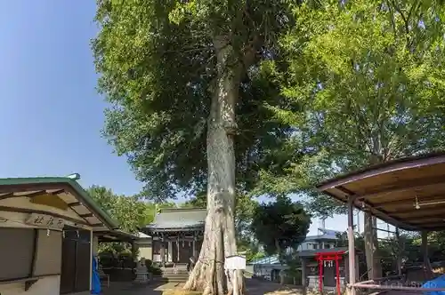 白山神社(東京都)