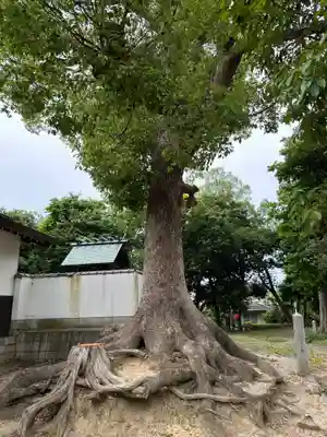 大鳥北濵神社(大阪府)