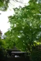 大興善寺(佐賀県)