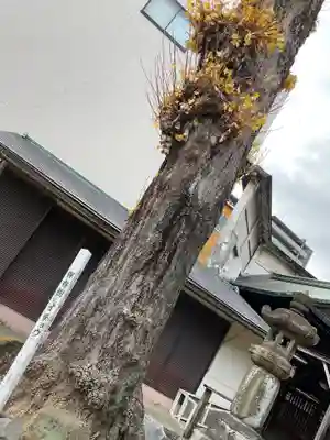 富士浅間神社(愛知県)