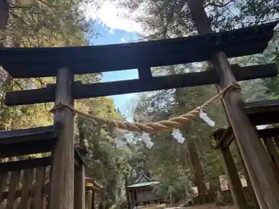 武蔵二宮 金鑚神社(埼玉県)