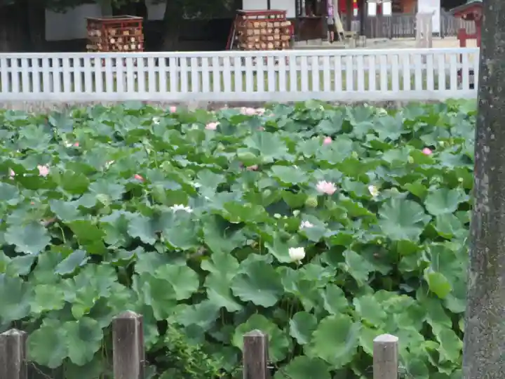 伊賀八幡宮(愛知県)