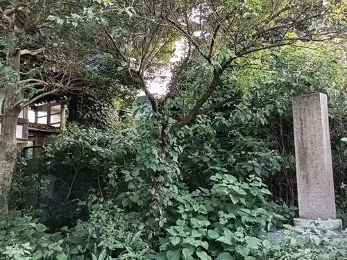 尾津神社の本殿・本堂
