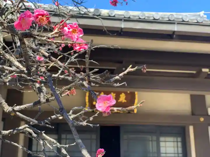 森巌寺のその他建物