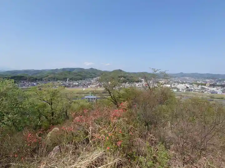 男浅間神社の自然