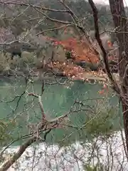 河上神社の自然