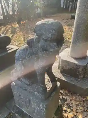 白旗神社(西御門)の狛犬