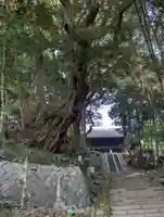 西明寺(栃木県)