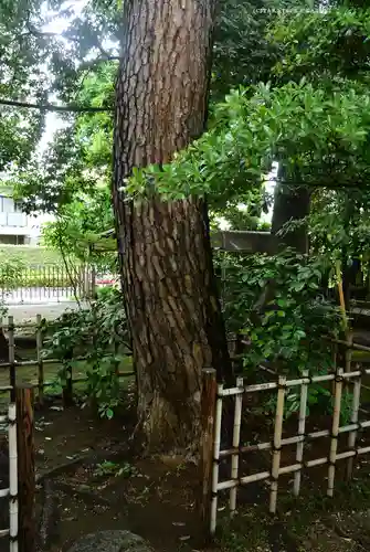 祇園寺(東京都)