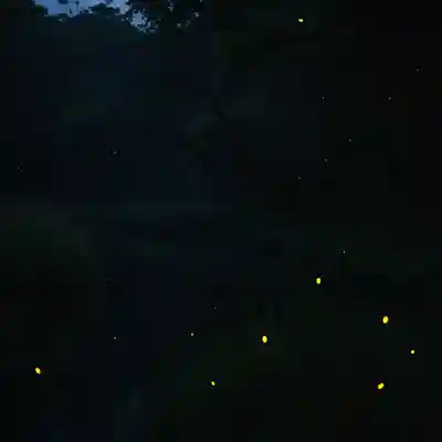 木舟山　順教寺(広島県)