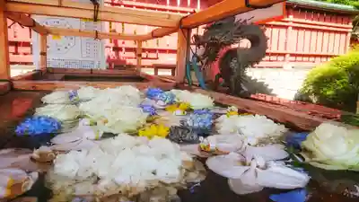 津島神社の手水舎