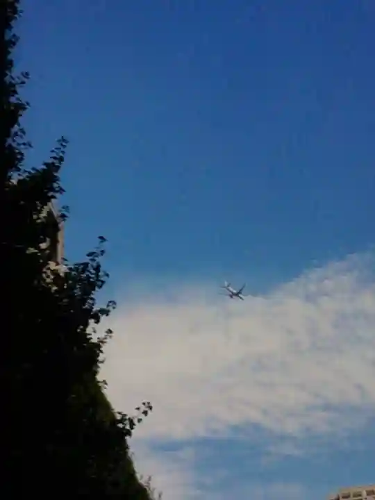 熊野神社(東京都)