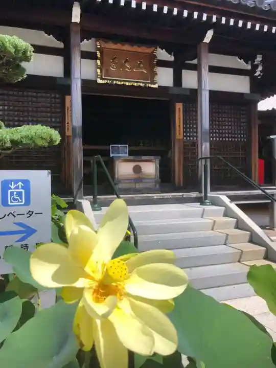 中山寺の本殿・本堂