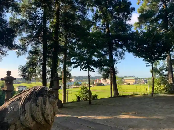 諏訪神社(千葉県)