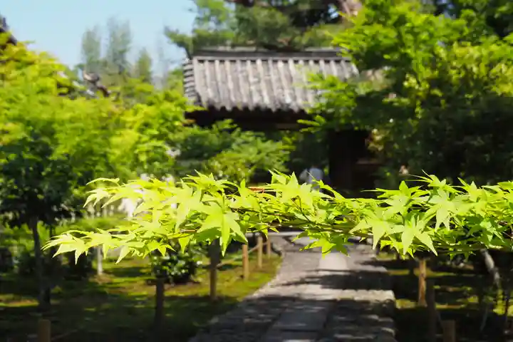 鹿王院(京都府)