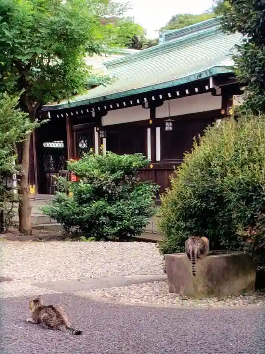 白金氷川神社(東京都)