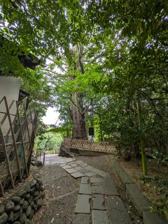 王子神社(東京都)