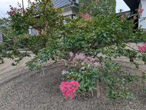 天性寺(福島県)