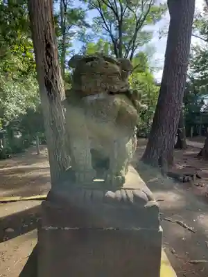 熊野神社の狛犬