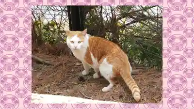 厳島神社(広島県)