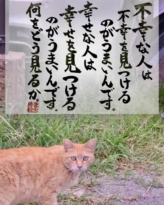 専念寺(大阪府)