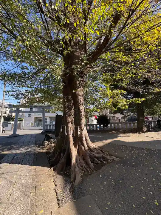 滝野川八幡神社(東京都)