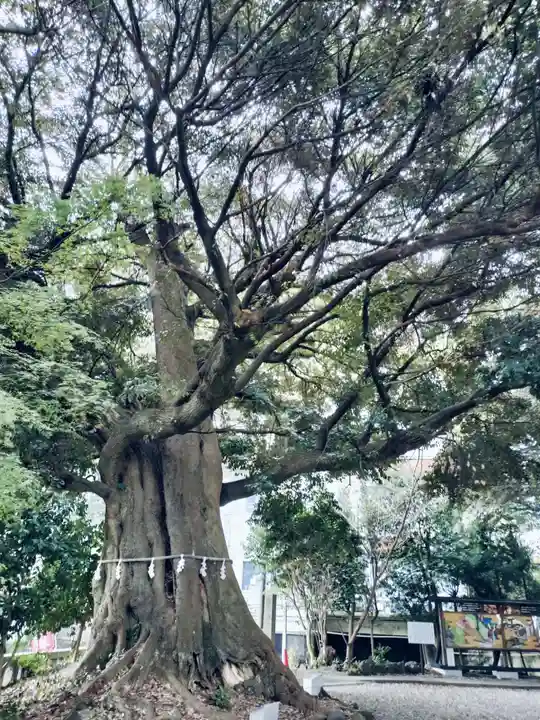 音無神社(静岡県)