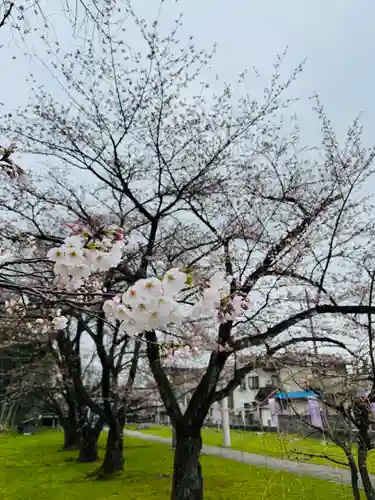 守りの神　藤基神社の自然