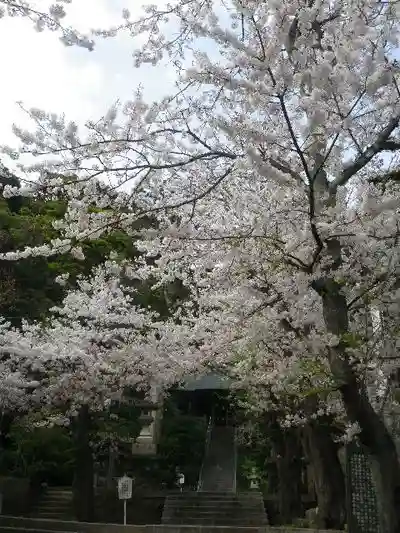 甘縄神明神社(甘縄神明宮)の自然