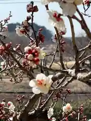 常磐神社の自然