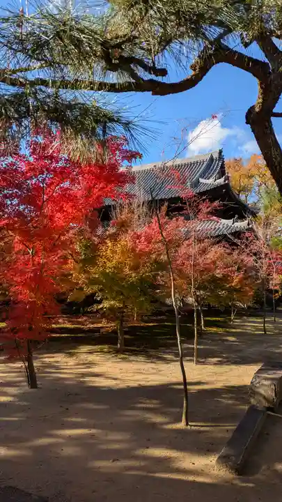 興聖寺(京都府)