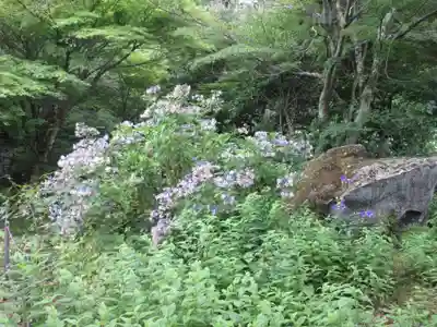 青龍山 吉祥寺(群馬県)